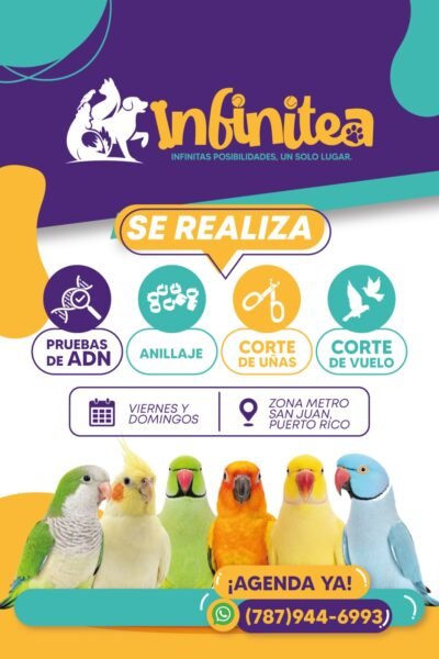 ADN Y GROOMING PARA AVES