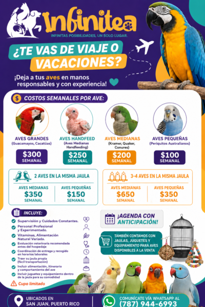 HOSPEDAJES Y BOARDING PARA AVES